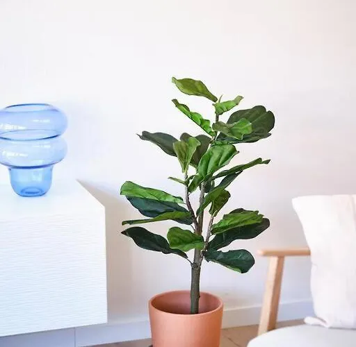 Hugo By The Harbor, Light-filled And Centrally Located - Free Parking 公寓 奥斯滕德