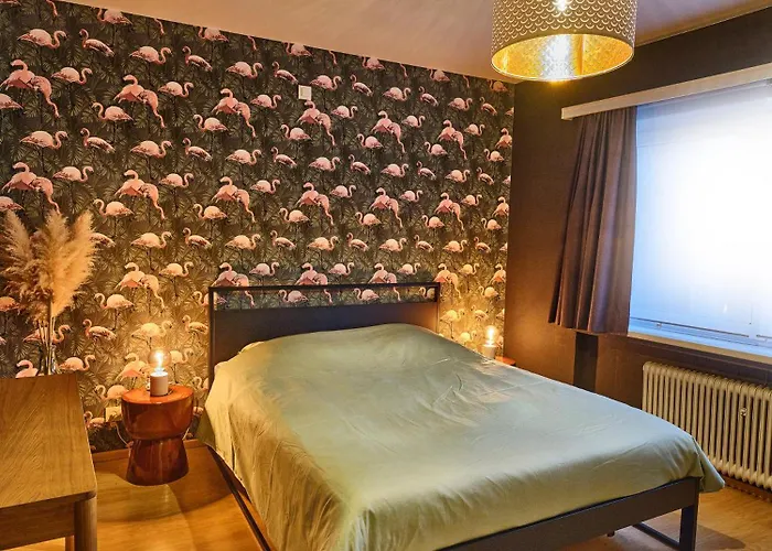 Hugo By The Harbor, Light-filled And Centrally Located - Free Parking 公寓 奥斯滕德